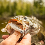 CRUSH CITY THE MAYOR™