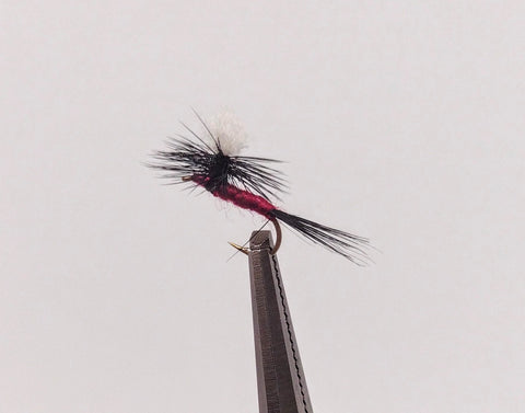 MOSCAS SECAS BIG MONTANA