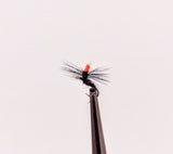 MOSCAS SECAS BIG MONTANA