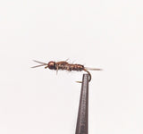 MOSCAS NINFAS BIG MONTANA